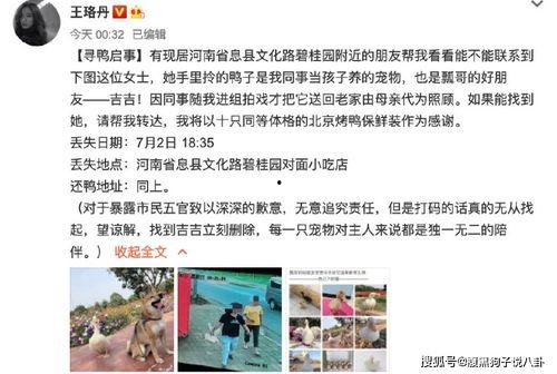 娱乐吃瓜鹅鸭视频下载,鹅鸭视频下载攻略,轻松获取热门娱乐内容 第3张 娱乐吃瓜鹅鸭视频下载,鹅鸭视频下载攻略,轻松获取热门娱乐内容 第3张