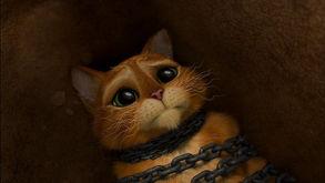 穿靴子的猫电影在线观看,魔法冒险之旅在线观影指南